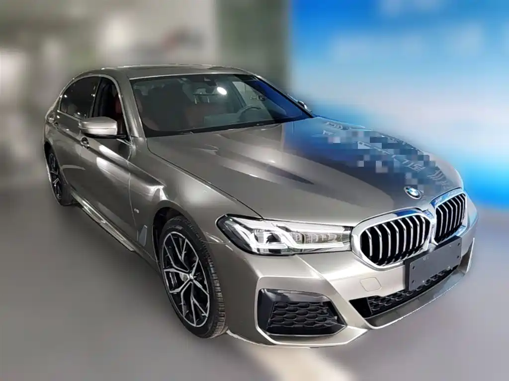 BMW 5 Series 2023 530Li Premium M Sport Package фото 7