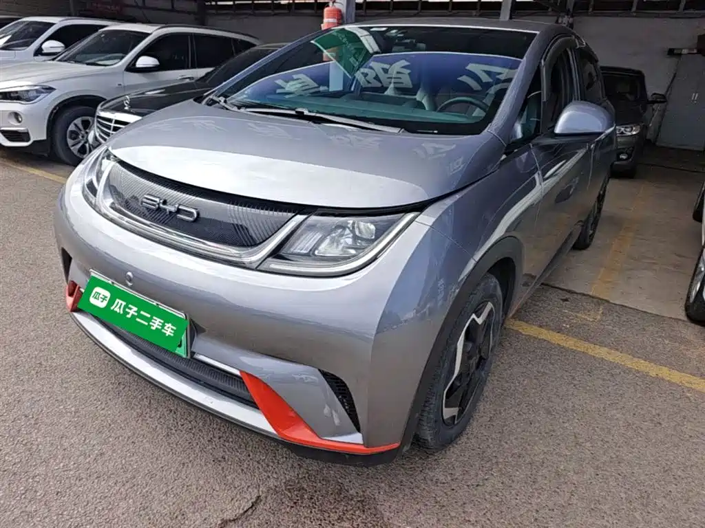 BYD Dolphin 2021 405km Freedom Edition