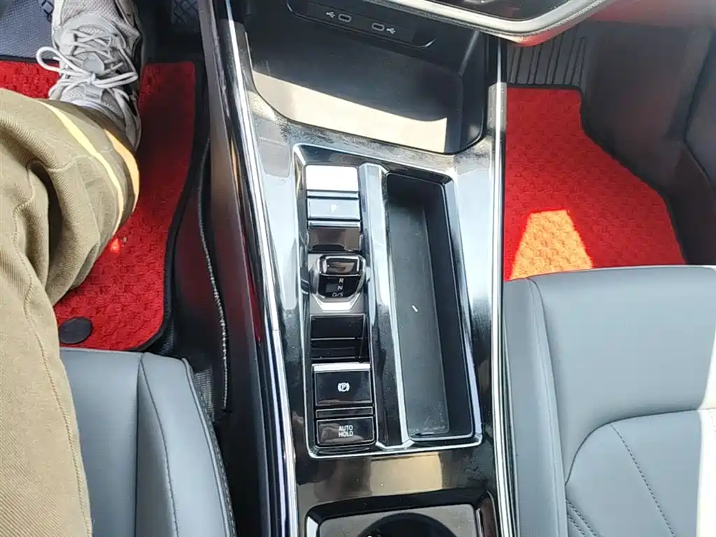VOLKSWAGEN LINGDU