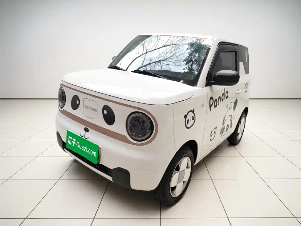 Фото 1 - Geely Galaxy Panda