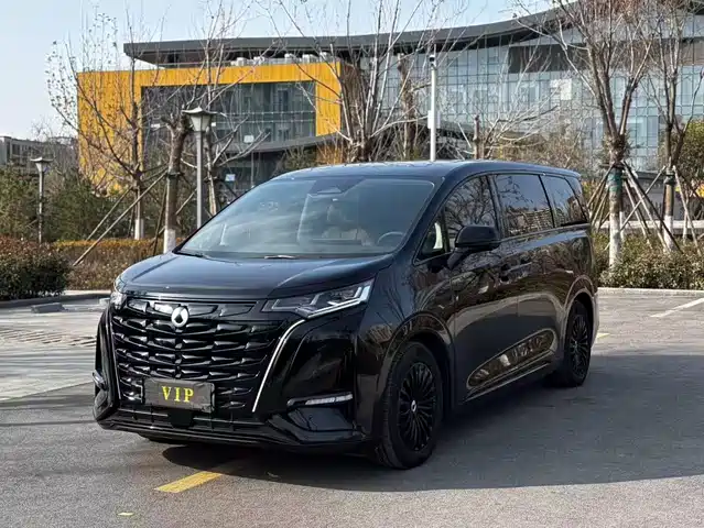 Denza D9 2024 DM-i 980 AWD Flagship