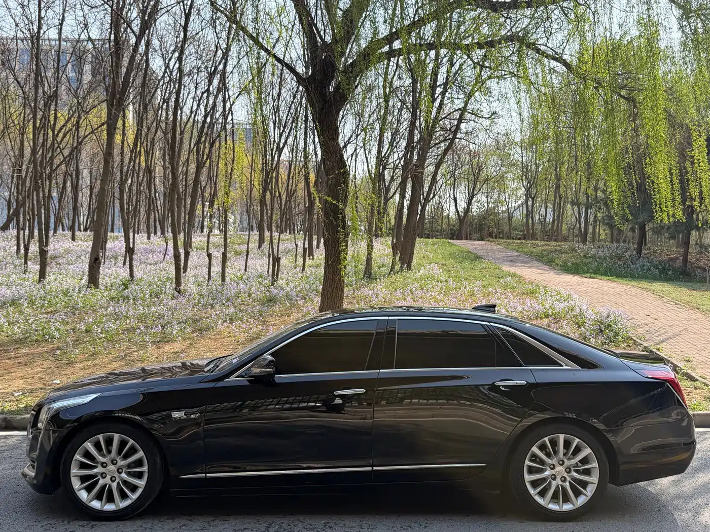 Cadillac CT6 2017 28T Premium фото 7