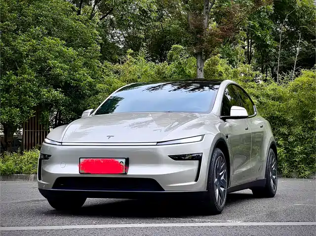 Tesla Model Y L, фото 1