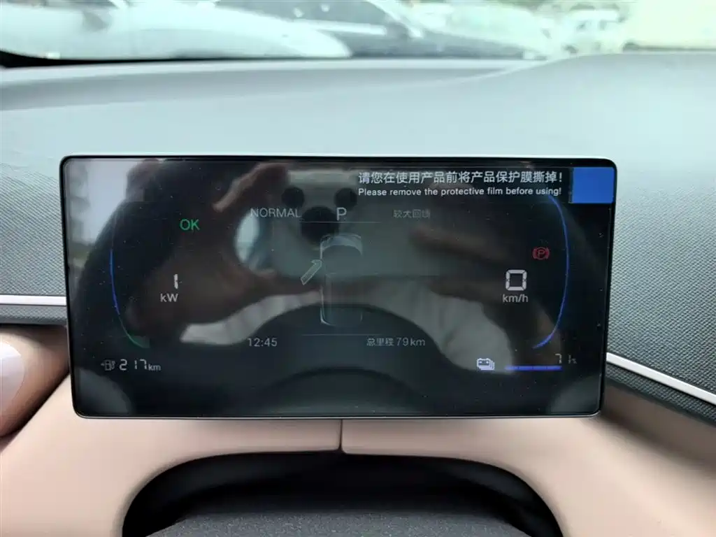 BYD Seagull 2025 Smart Drive Edition 305km Vitality Version фото 12