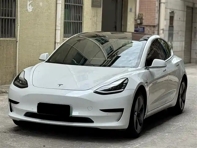 Tesla Model 3 2019 Standard Range Rear-Wheel Drive Upgrade