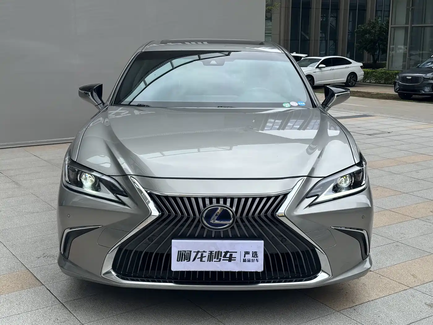 Lexus ES 2020 Model 300h Excellence Edition фото 3