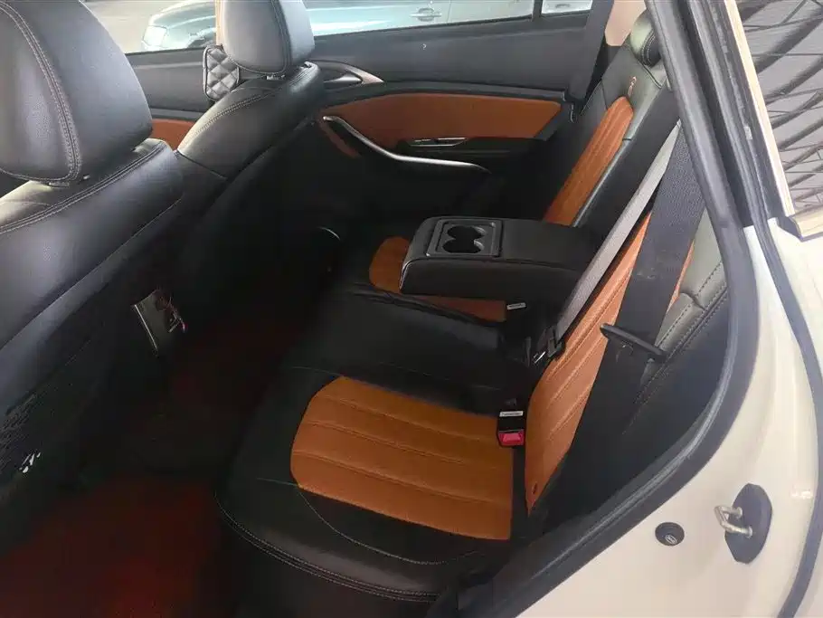 BYD Song 2016 2.0TID Automatic Trend Leader фото 11