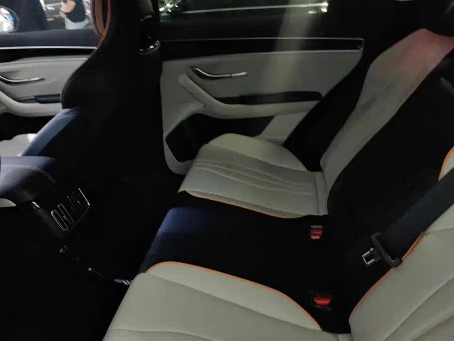 BYD Song PLUS PHEV 2023 Champion Edition DM-i 110KM Flagship фото 11