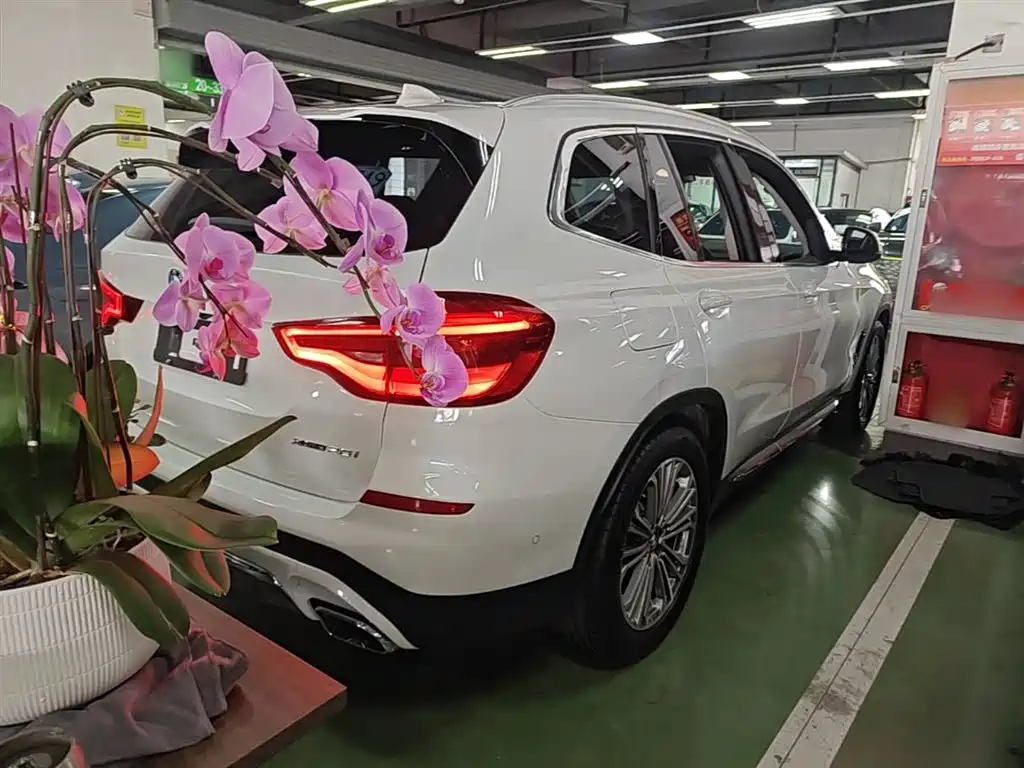 BMW X3 2018 xDrive28i Luxury Package China VI фото 7