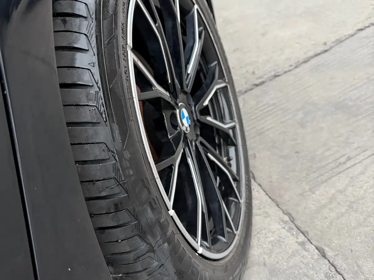 BMW 5 Series 2018 528Li Launch Special Edition фото 15