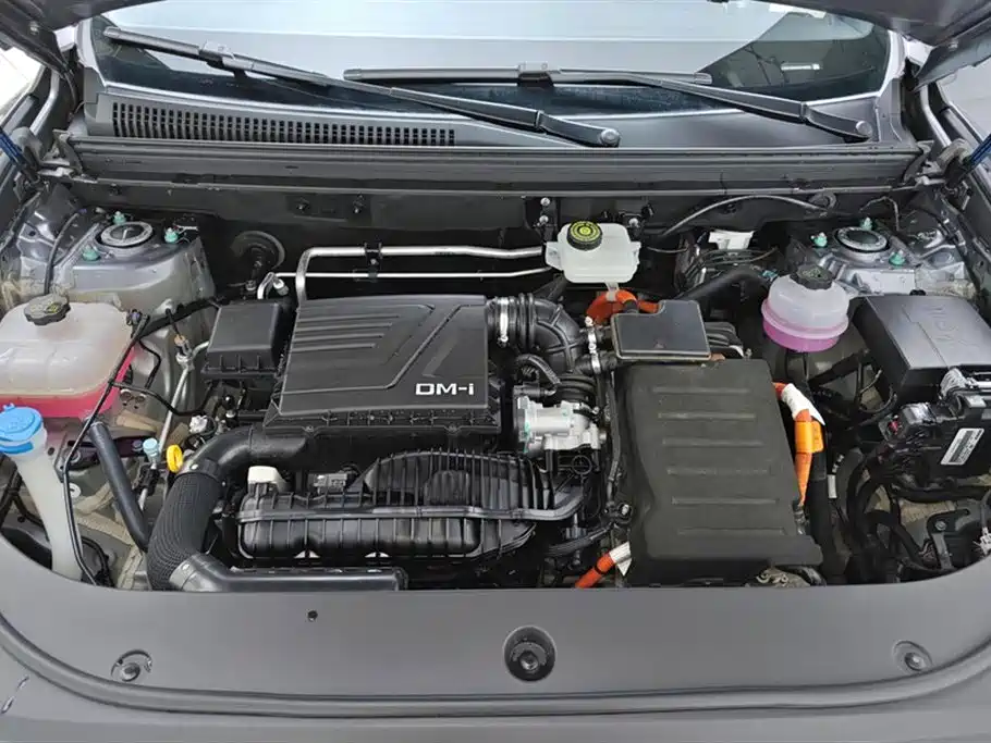 BYD Song Pro New Energy 2025 2024 Glory Edition DM-i 71KM Pilot