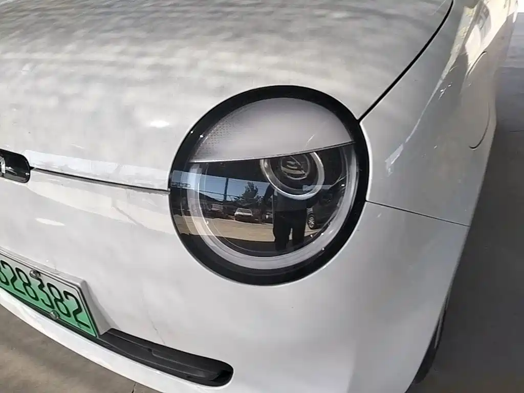Changan Lumin 2025 2025 205km Fragrant Infusion Edition