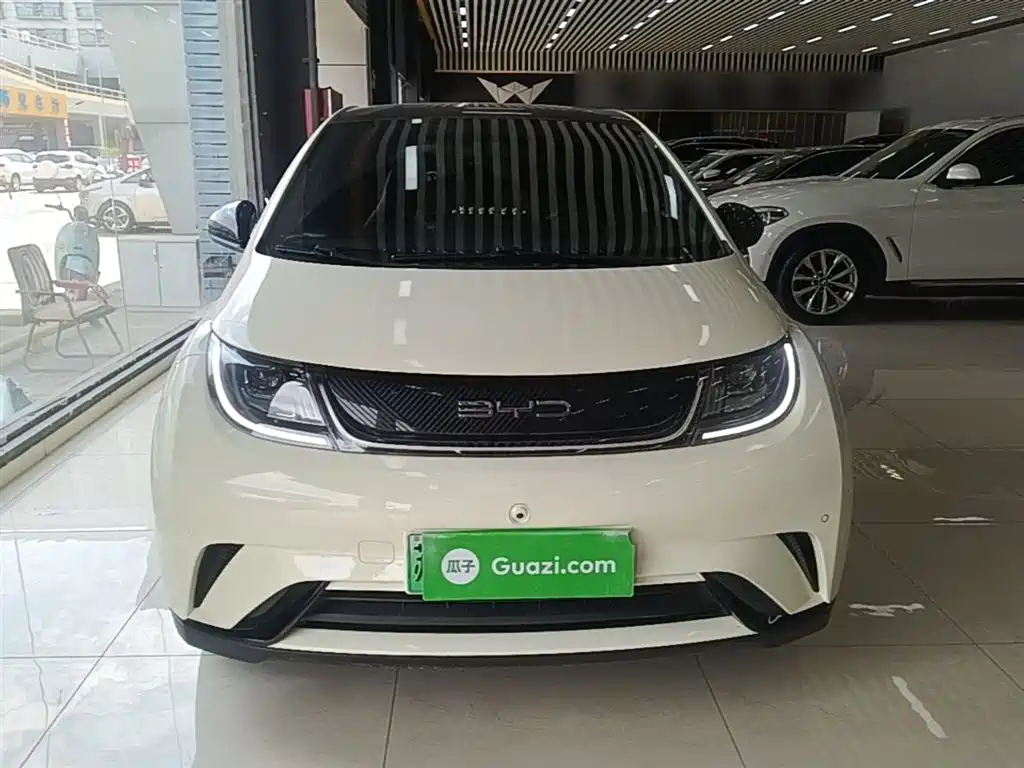 BYD Dolphin 2023 420km Fashion Edition фото 3