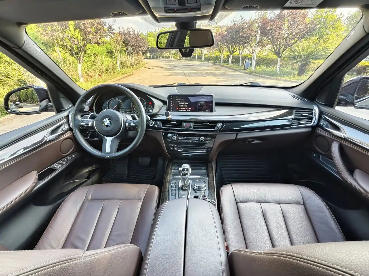 BMW X5 (Import) 2017 xDrive35i M Luxury Sport фото 6