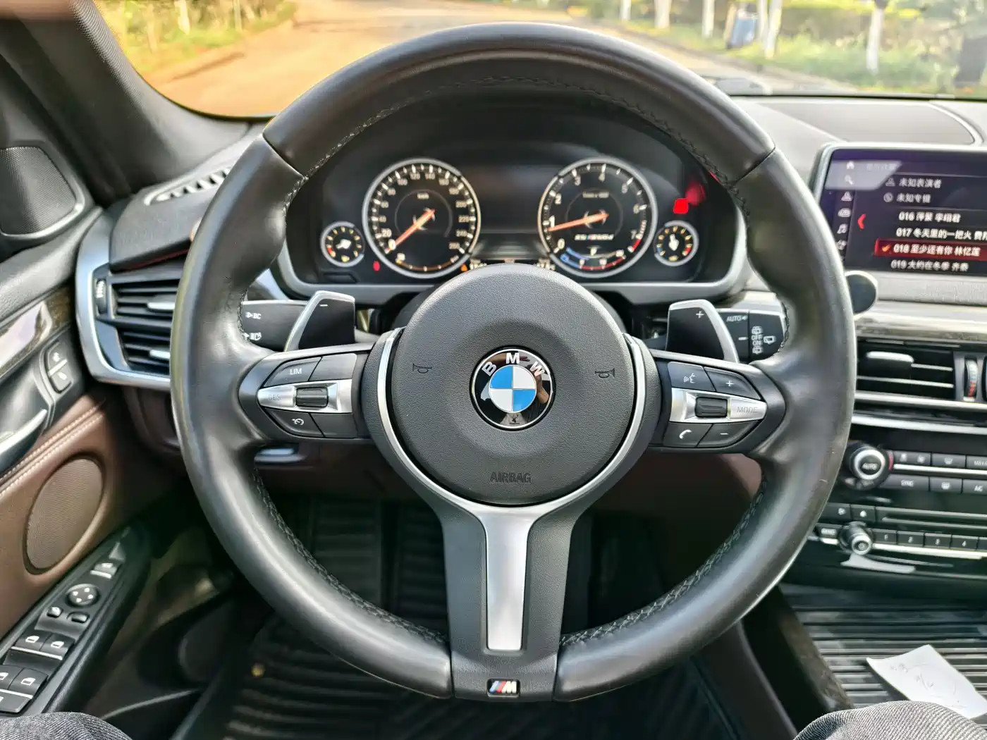 BMW X5 (Import) 2017 xDrive35i M Luxury Sport фото 18