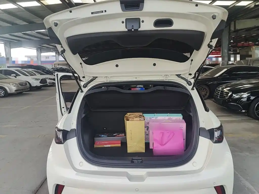 BYD Dolphin 2026 2025 420km Freedom Edition