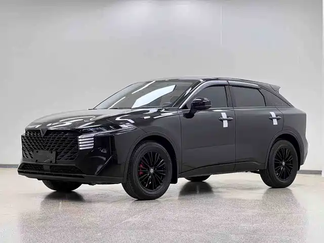 QICHEN BIG V 2023