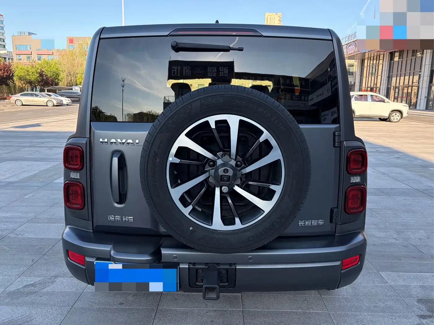 Haval H9 2024 2.0T Gasoline AWD Extreme Edition фото 9