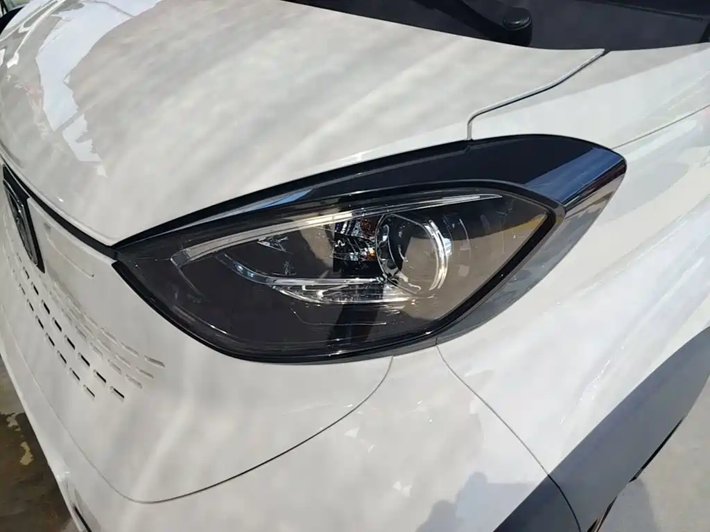 Baojun E100 2019 2019 250KM Smart Edition