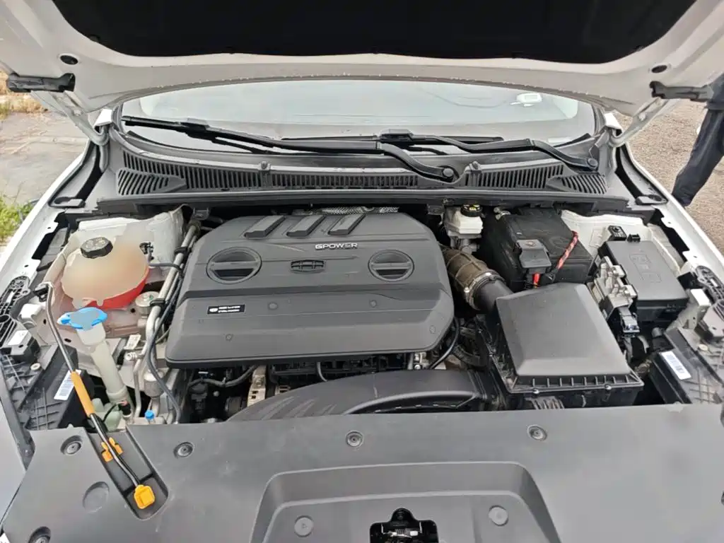 Фото 20 - Geely Binrui