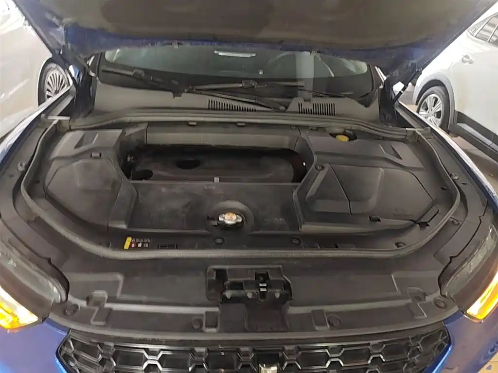 WEY VV5 2017 2017 2.0T Super Luxury Model