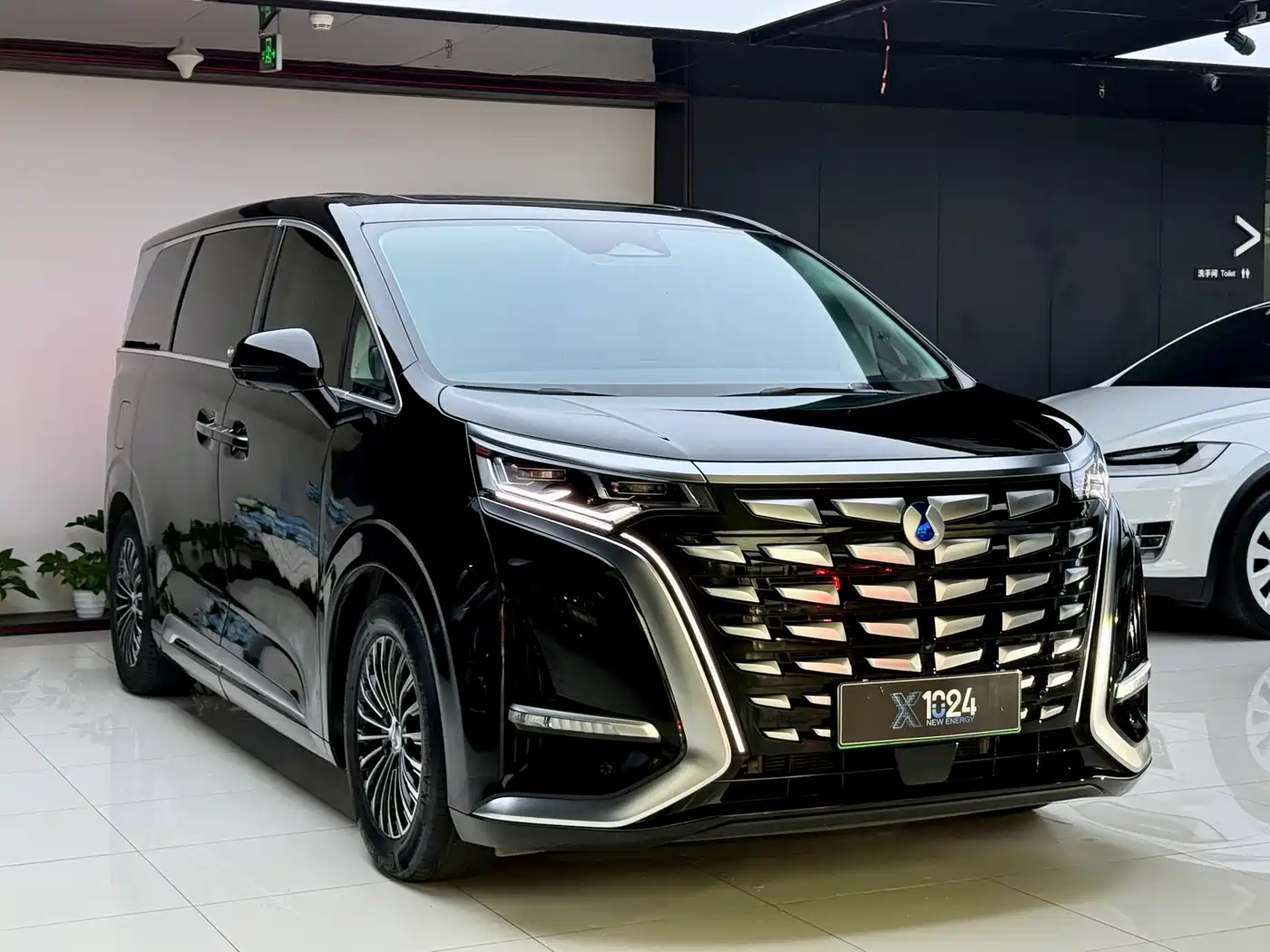 Denza D9 2024 DM-i 980 AWD Prestige фото 3