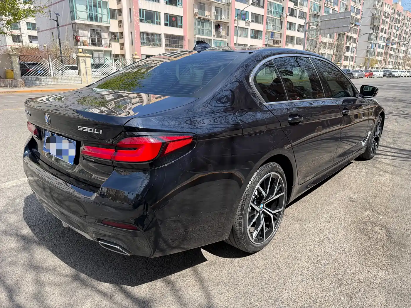 BMW 5 Series 2021 530Li Premium M Sport Package фото 19