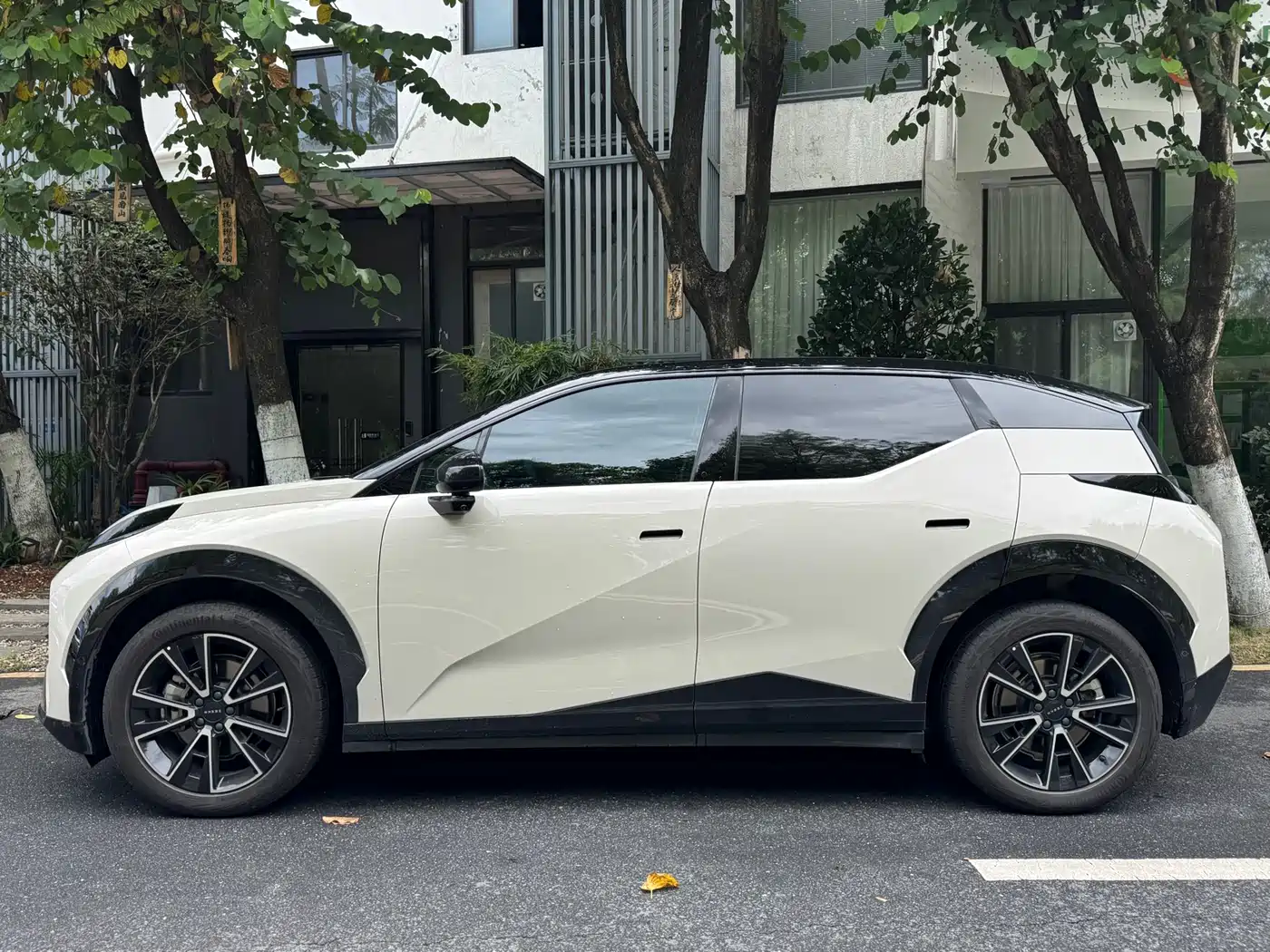 ZEEKR X 2023 2023 RWD YOU Edition 4-seater