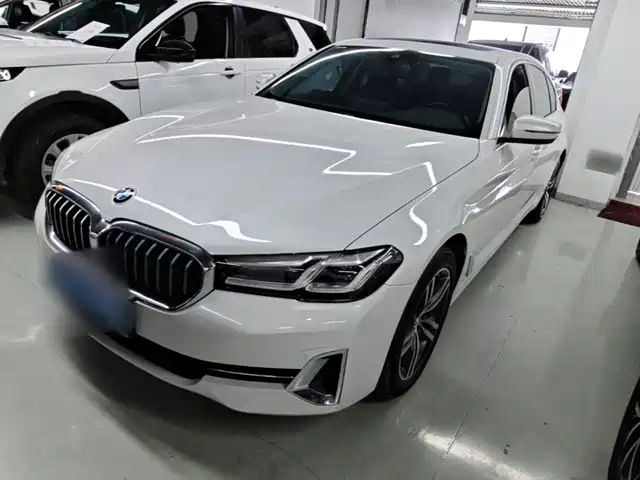 BMW 5 2-й рестайлинг, 530Li, Лидер, M Спорт-пакет