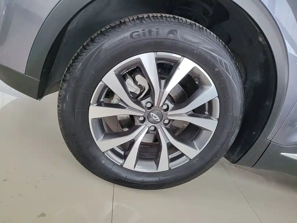Chery Tiggo 7 2024 2024 1.5T CVT Premium Edition