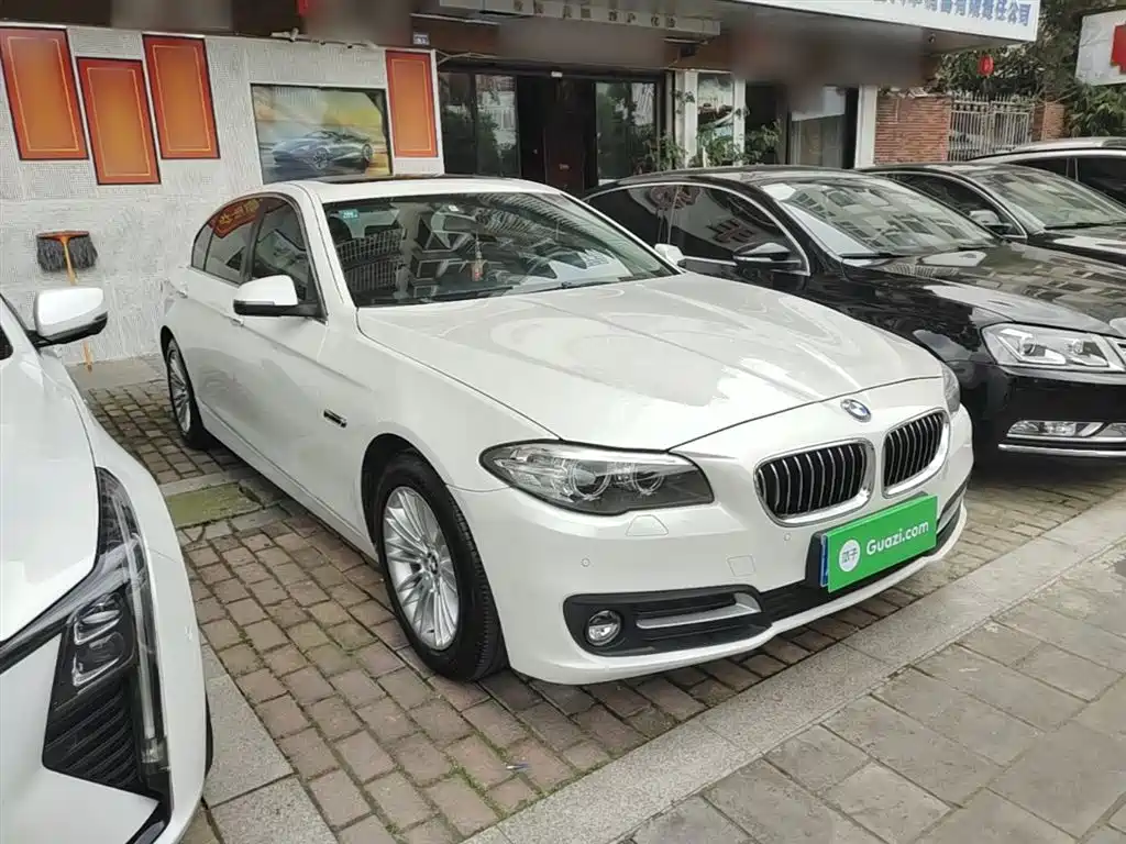 BMW 5 Series 2014 525Li Leading фото 4