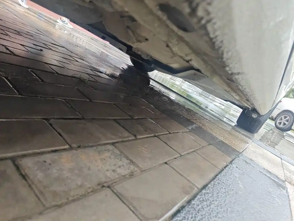 Volkswagen Sagitar, миниатюра 17