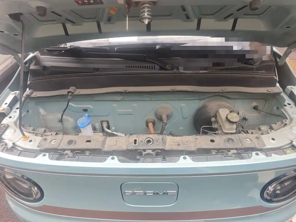 Geely Galaxy Panda 2023 2023 Panda Mini 200km Endurance Bear