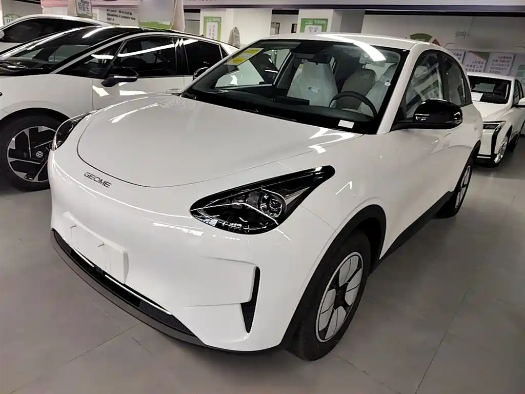 Geely Galaxy Starry Wish 2026 Edition 310km Youth Version