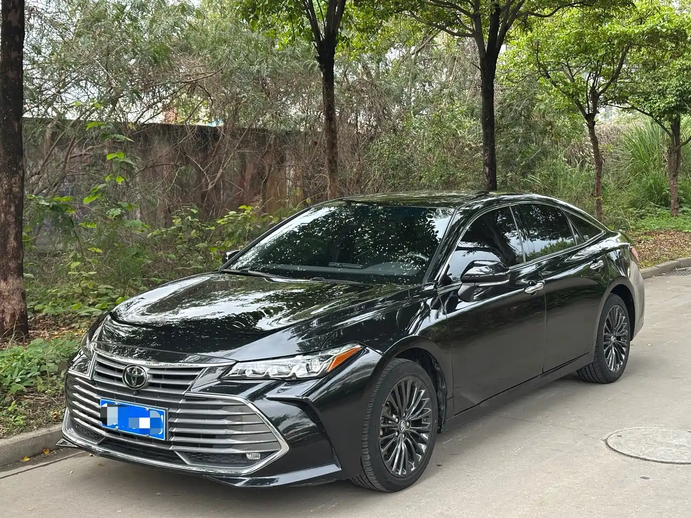 Toyota Avalon 2019 2.0L XLE Premium Edition (China VI)