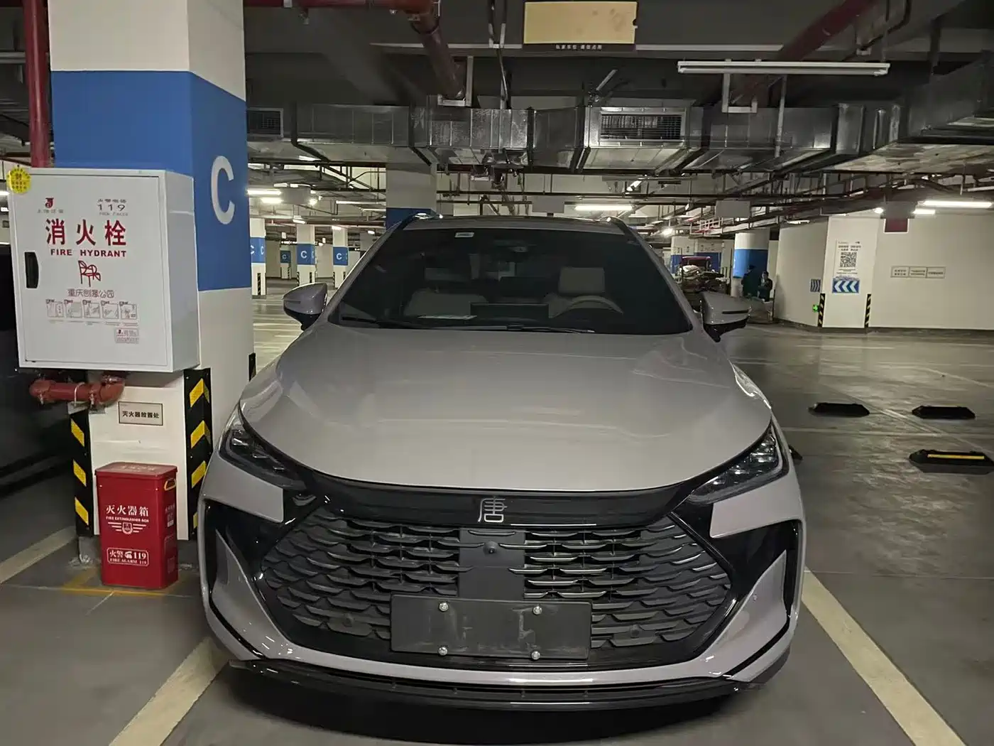 BYD Tang New Energy 2025 Smart Driving Edition DM-i 115KM Flagship фото 2