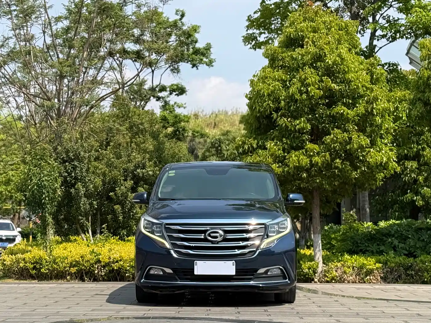 GAC Trumpchi Trumpchi M8 2018 320T Premium Edition фото 2
