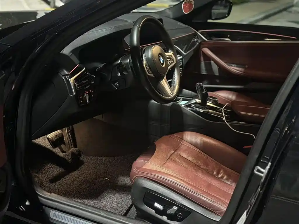BMW 5 Series 2019 530Li Premium M Sport Package фото 3