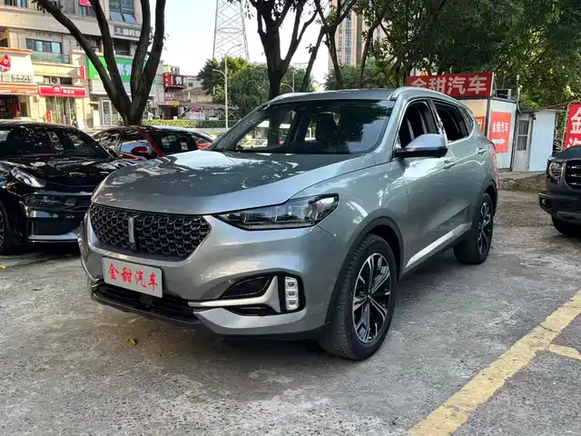  WEY Wey VV6 2021 2.0T 2WD Smart Protection+