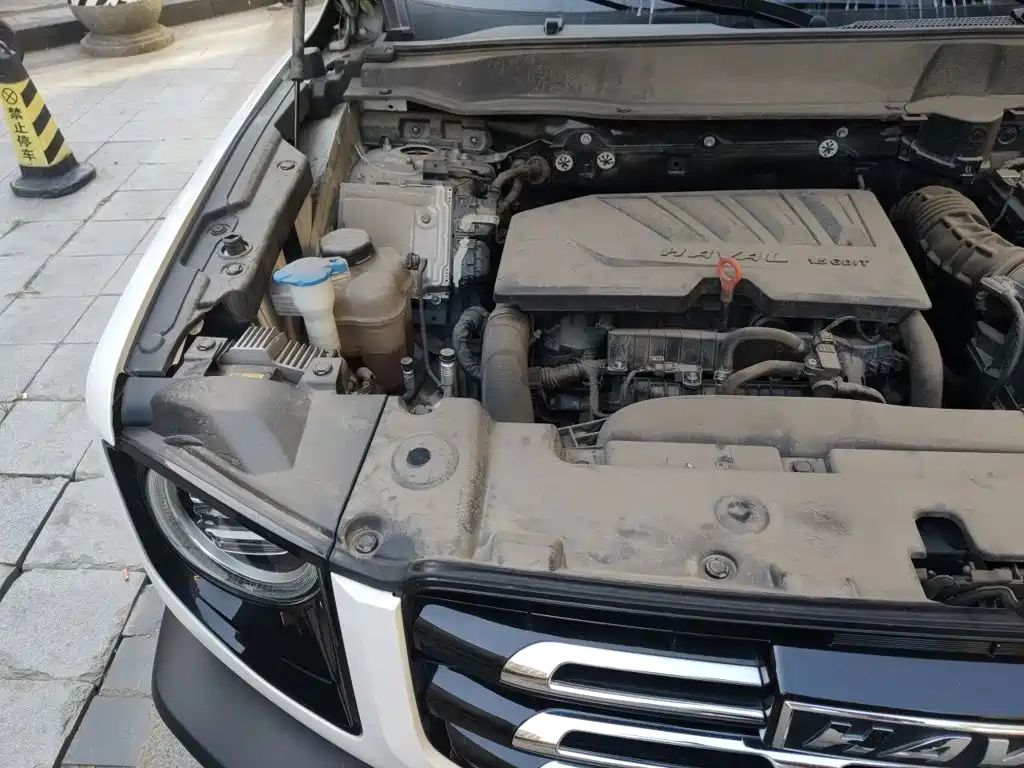 Haval Dargo 2021 2021 1.5T DCT 2WD Labrador Edition