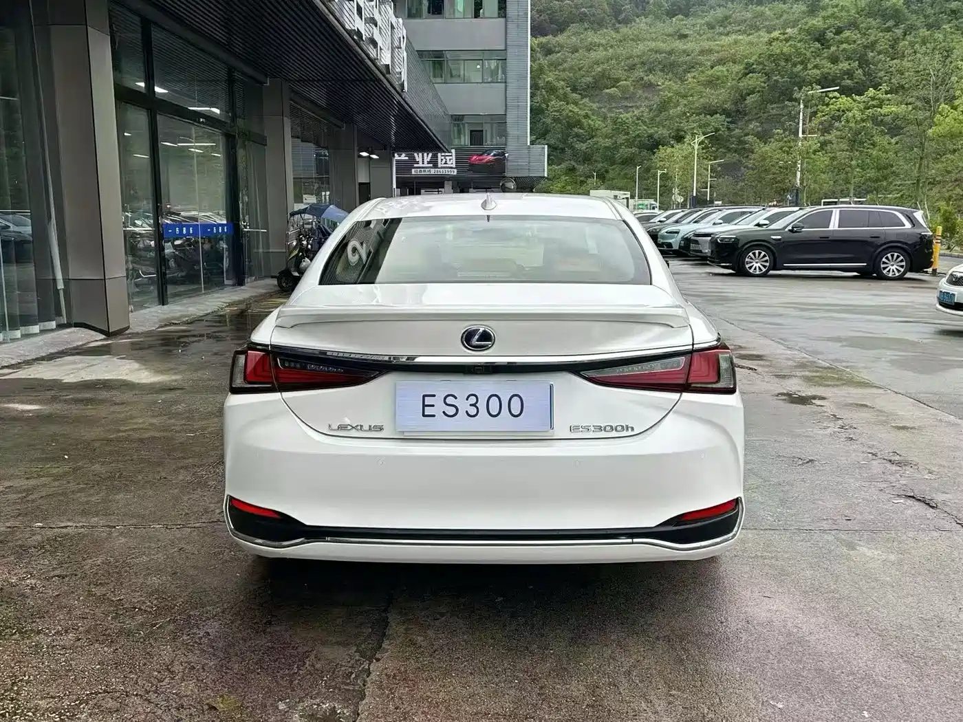 Фото 8 - Lexus ES