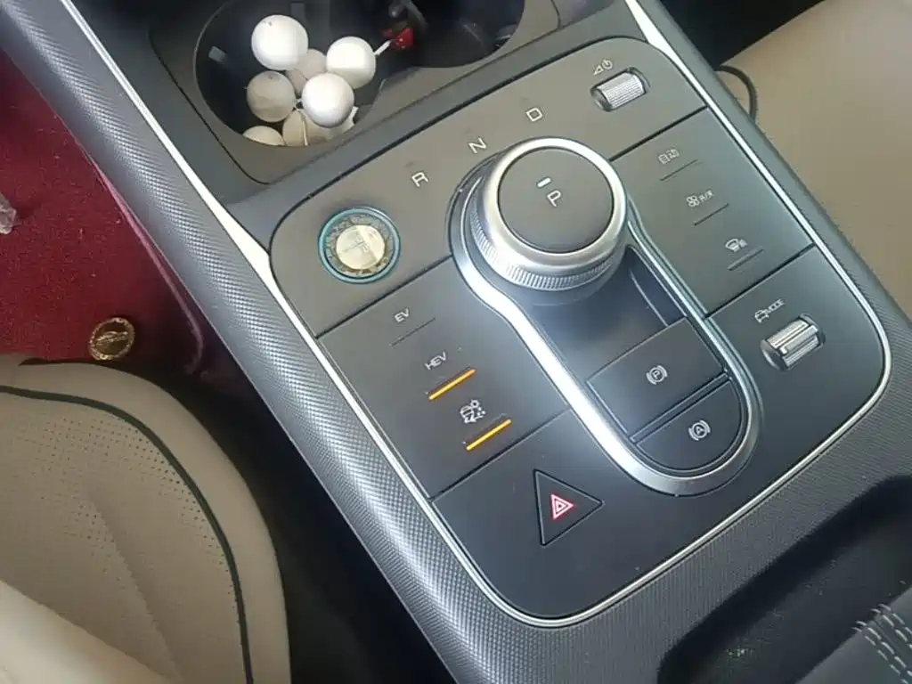 BYD Destroyer 05 2025 2024 Glory Edition DM-i 55KM Luxury