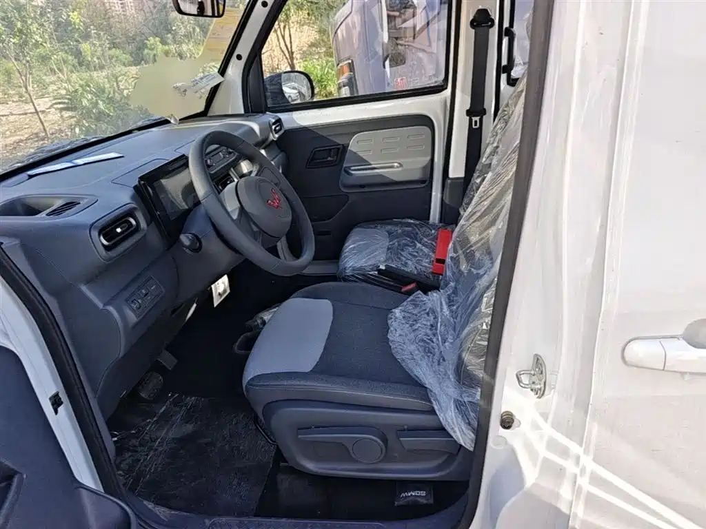 Wuling Motors Wuling Zhiguang NEV 2026 2025 Model 305km Base Version