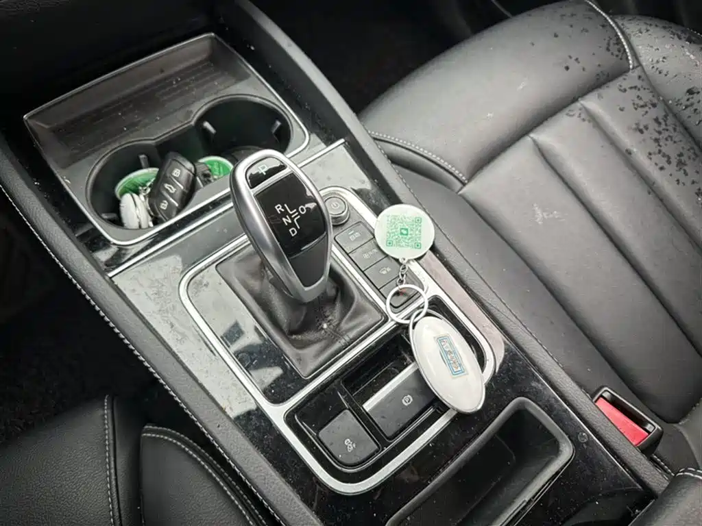 BYD Song MAX 2019 1.5T Auto Smart Connect Progressive 6-seater China VI фото 8