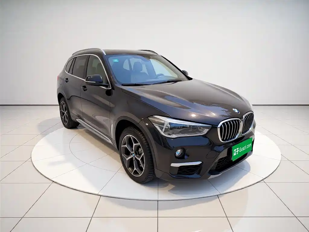 BMW X1 2018 xDrive20Li Premium Model фото 8