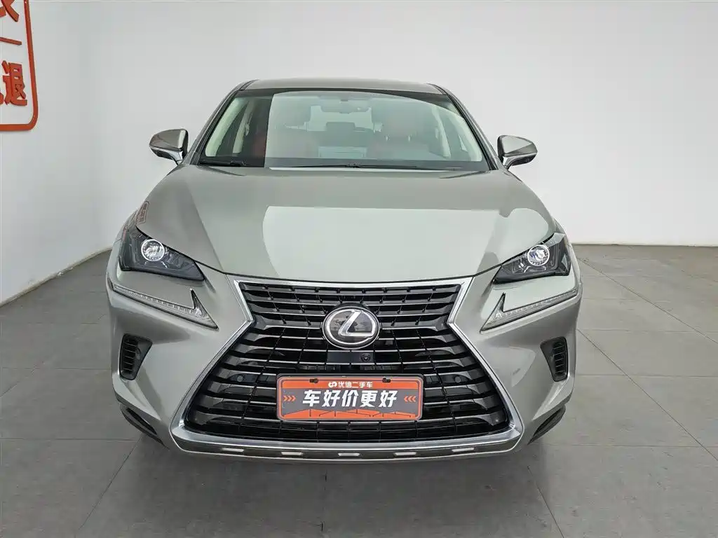 Lexus NX 2018 Model 300 FWD Fengxing Edition фото 3