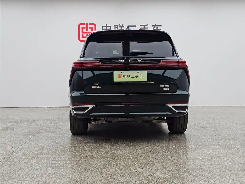 WEI PAI WEI BRAND BLUE MOUNTAIN