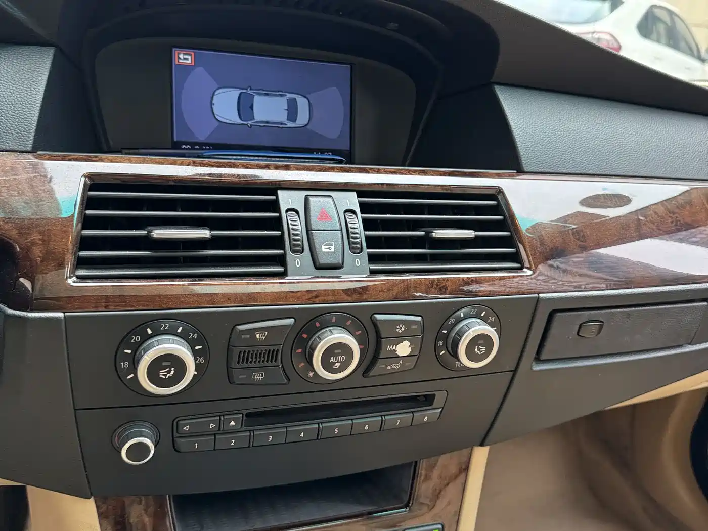 BMW 5 Series 2010 523Li Leading фото 11