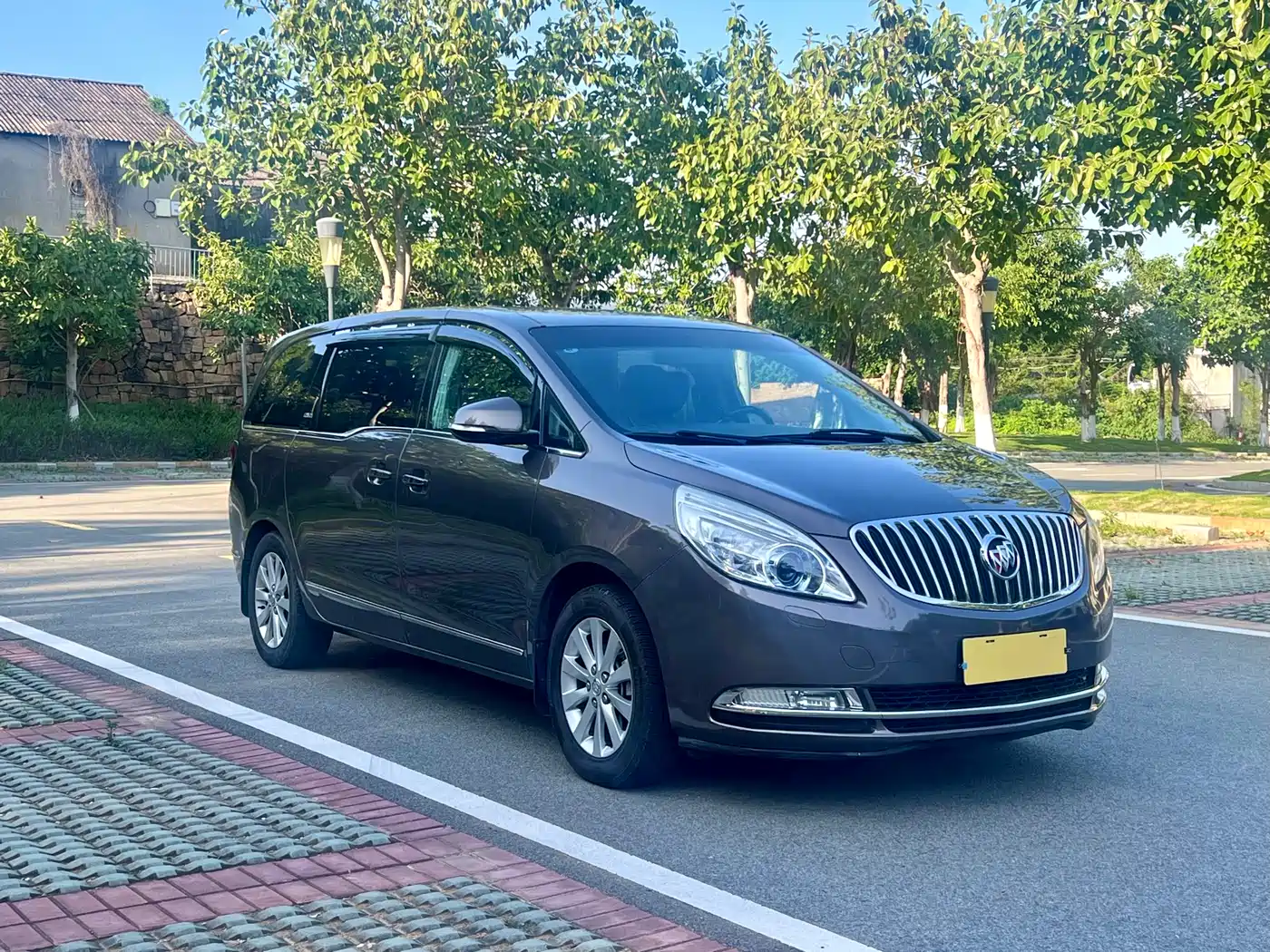 Buick GL8 2013 2.4L LT Luxury Business Executive Edition фото 3