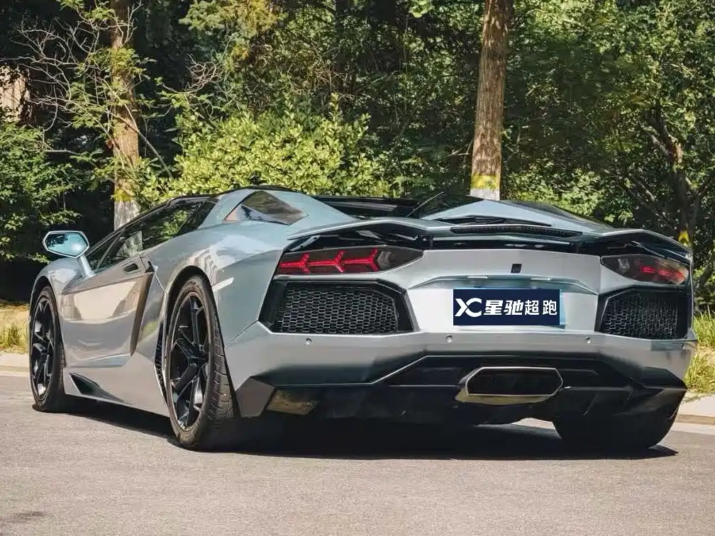 Lamborghini Aventador 2013 LP 700-4 Roadster фото 2